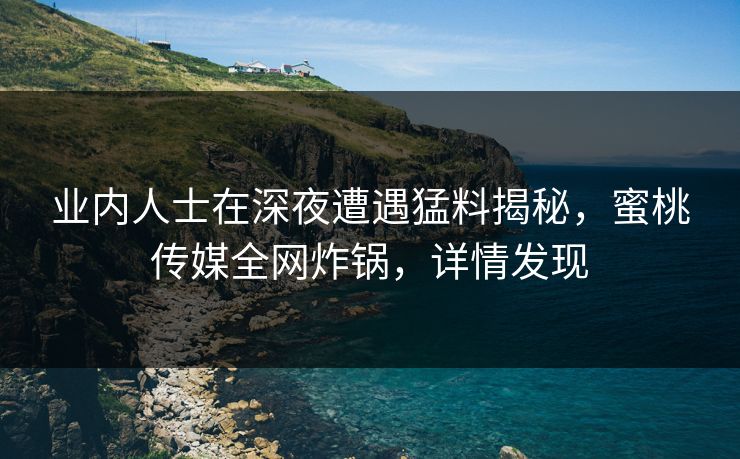 业内人士在深夜遭遇猛料揭秘，蜜桃传媒全网炸锅，详情发现